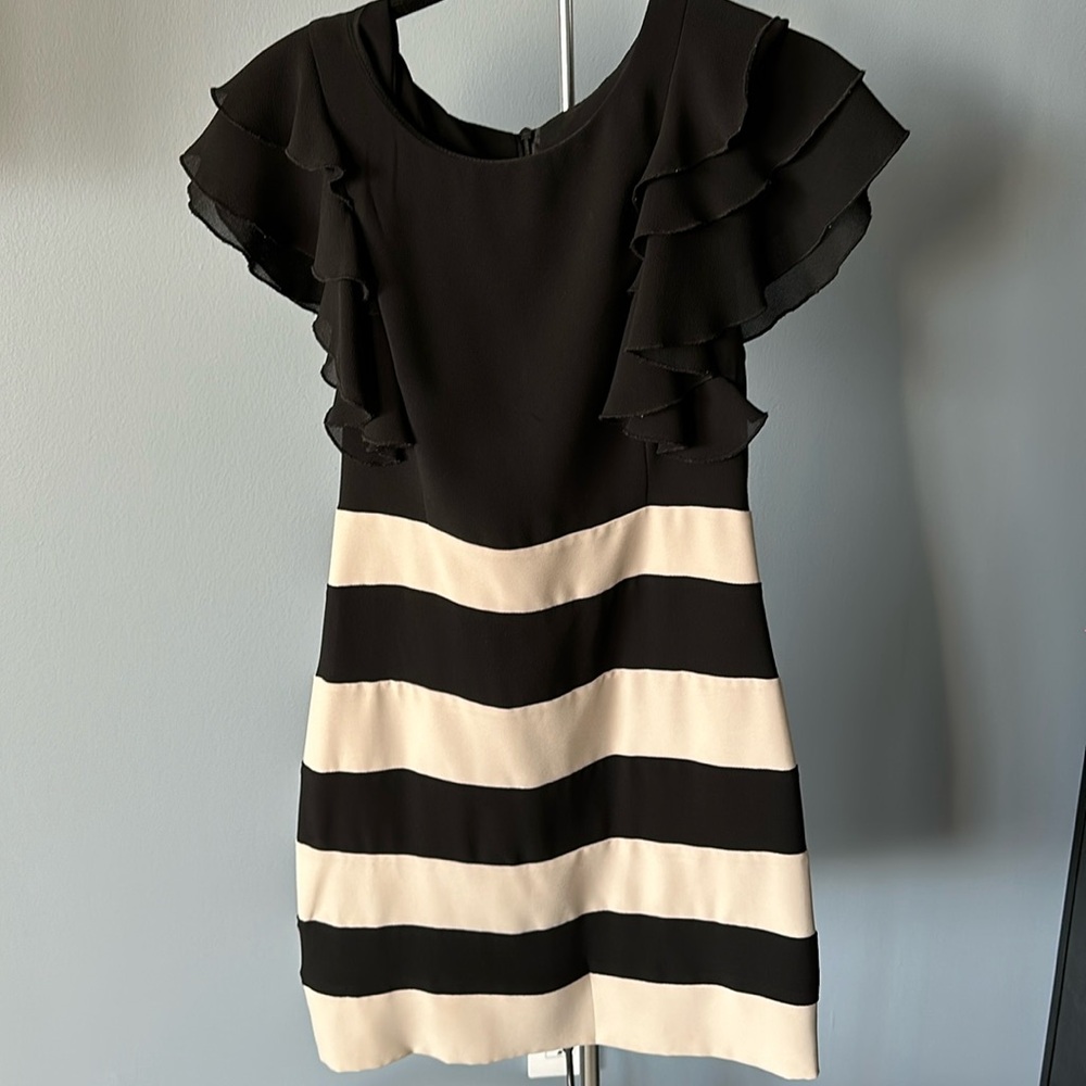 Fluffy ivory/black elegant dress